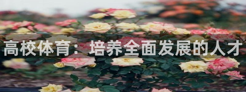 即嗨体育网页版：高校体育：培养全面发展的人才