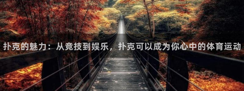 即嗨体育app官网：扑克的魅力：从竞技到娱乐，扑克可以成为你心中的体育运动