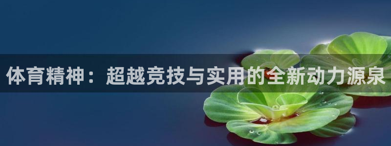 即嗨体育抢先版