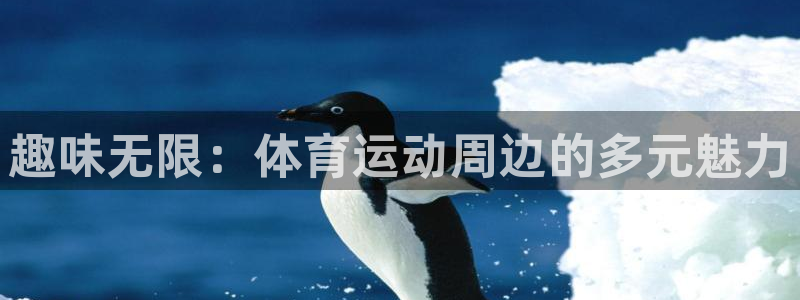 即嗨体育